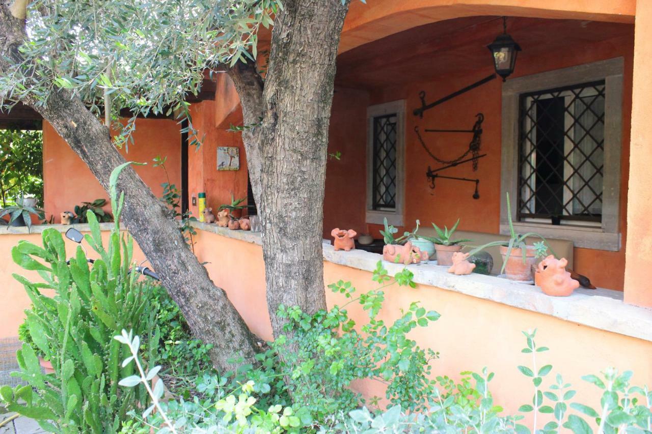 B&B Country Lemon Santa Marta Luaran gambar